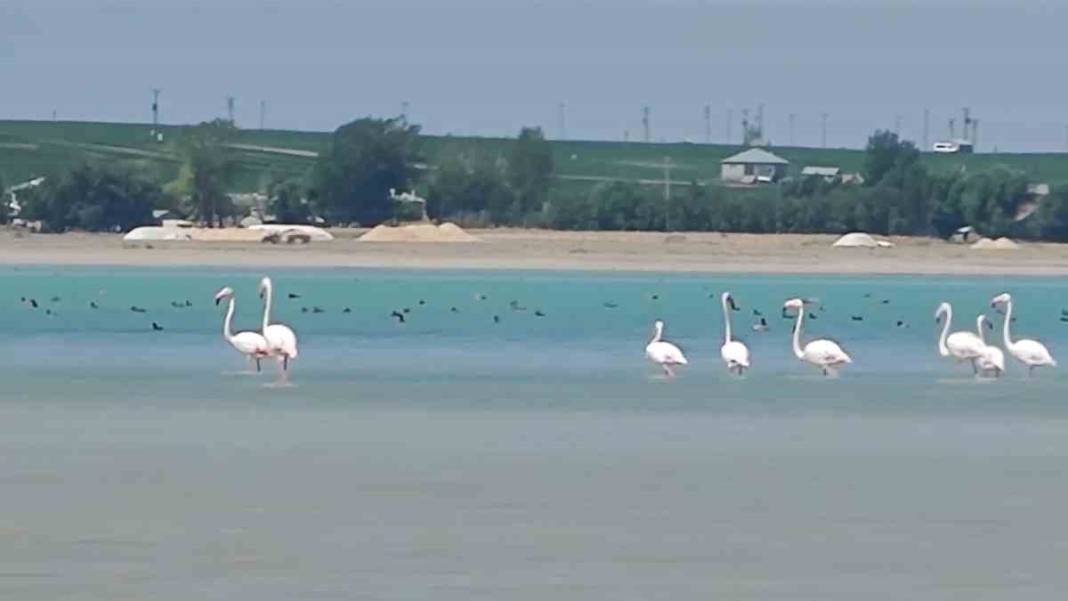 Bitlis'in doğa harikası: Arin Gölü tabloları aratmıyor 2